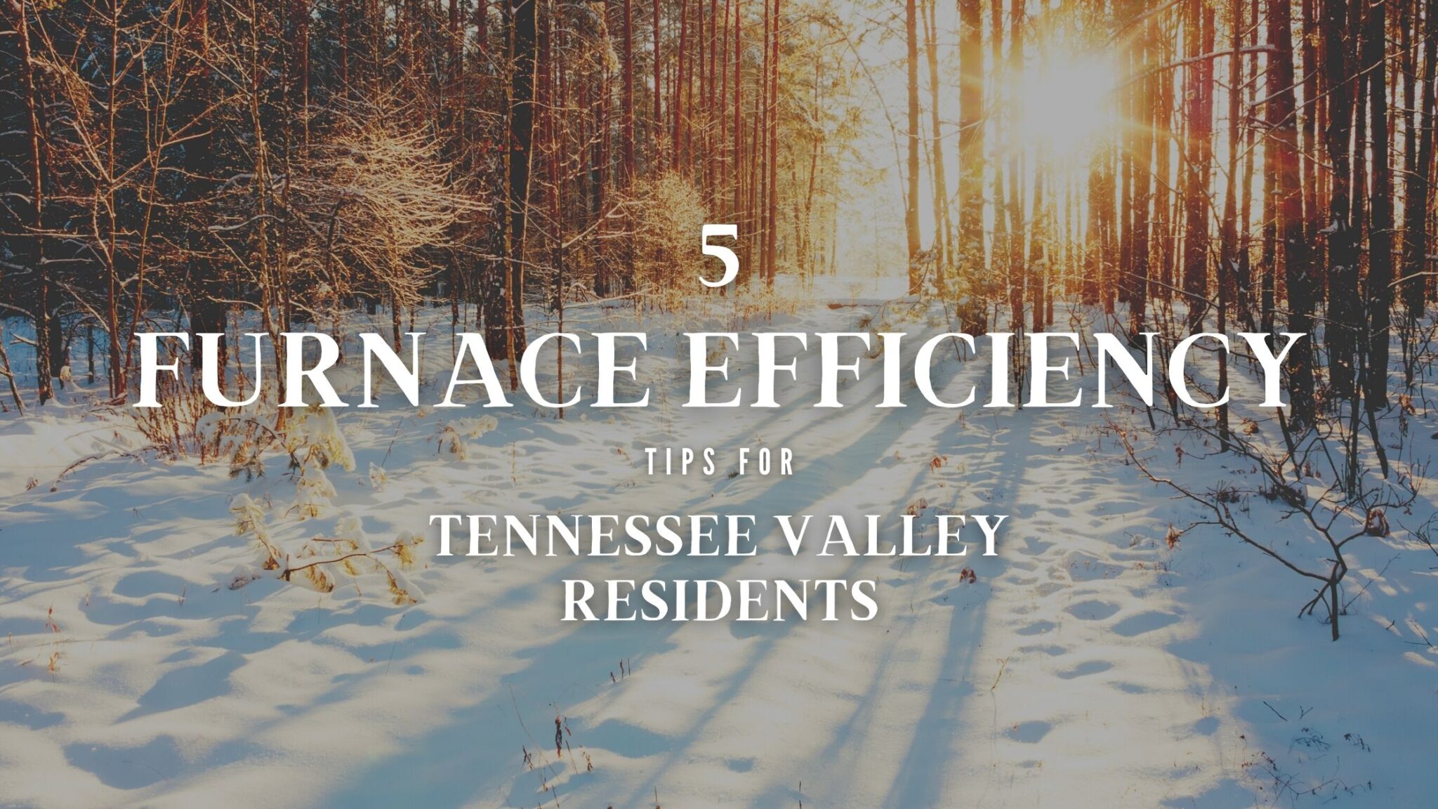 tennessee valley furnace efficiency