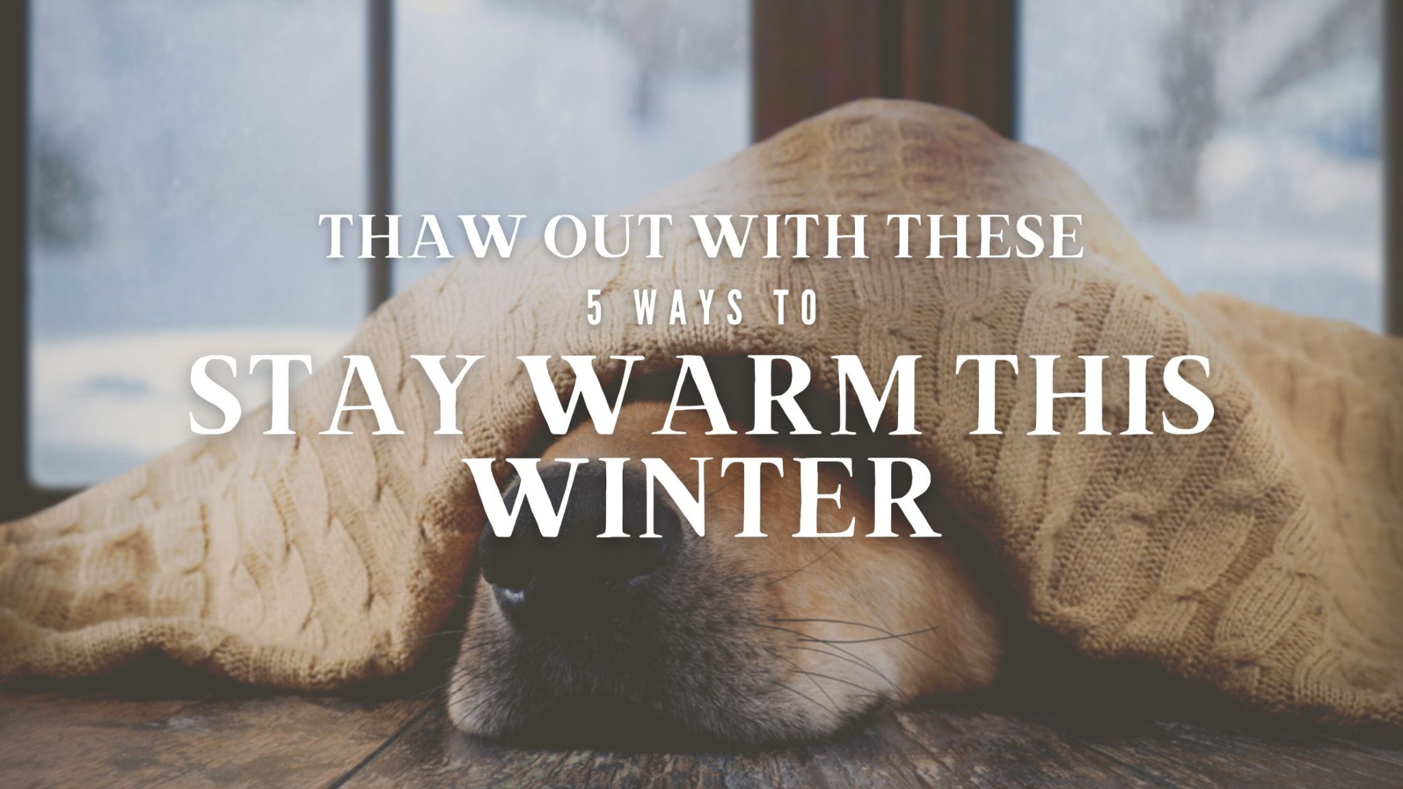 Thaw Out With These 5 Ways to Stay Warm This Winter
