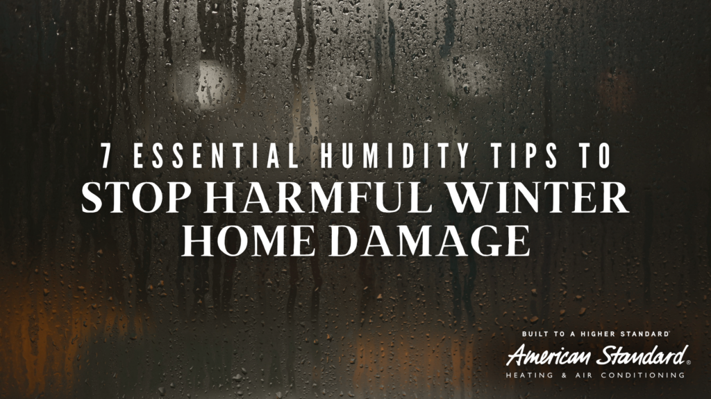 7 Essential Humidity Tips to Stop Harmful Winter Home Damage