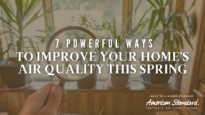 to Improve Your Home’s Air Quality This Spring