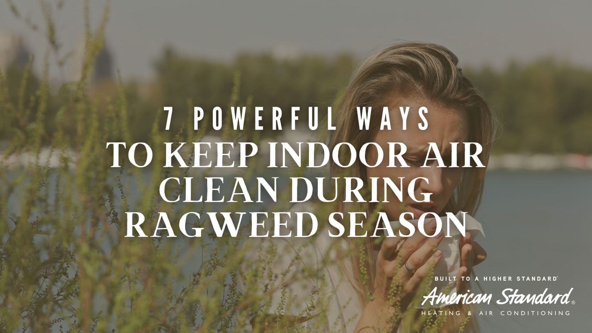 7 Powerful Ways to Keep Indoor Air Clean During Ragweed Season